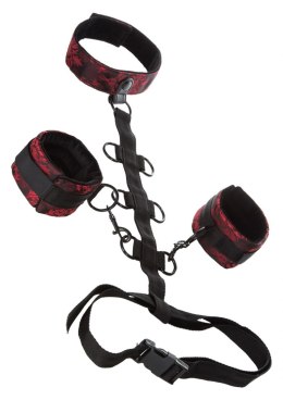 Wiązania-SCANDAL COLLAR BODY RESTRAINT CalExotics