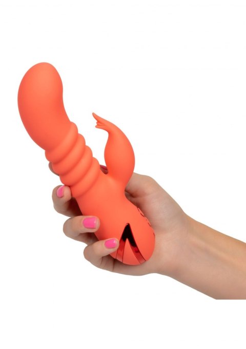 Wibrator-Orange County Cutie CalExotics Wibrator-Orange County Cutie CalExotics