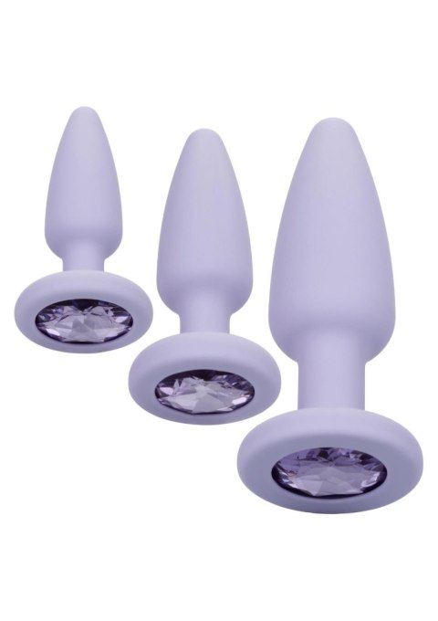 Crystal Booty Kit Purple CalExotics