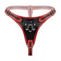 Fetish Collection - Triple Dildo Strap-On Harness Easytoys