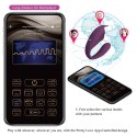 SHEY, 10 vibration functions 10 tapping functions Mobile APP Long-distance Control Pretty Love