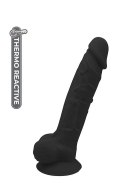 Dildo czarne realistyczne z jądrami i przyssawką 17,7 cm Dream Toys