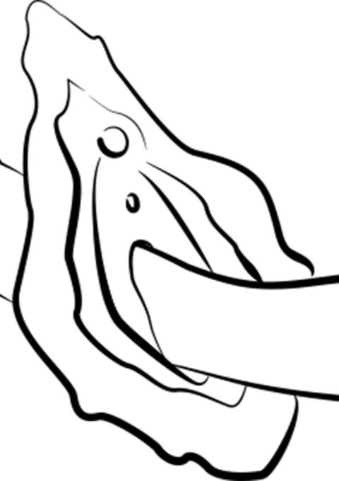 ROMP - Hype G-Spot Vibrator ROMP