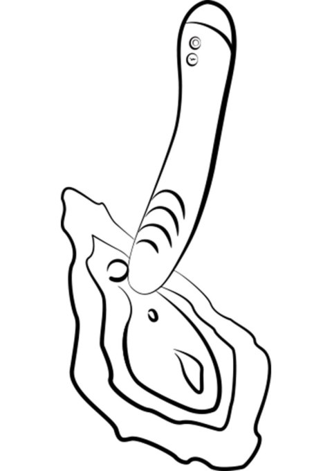 ROMP - Hype G-Spot Vibrator ROMP