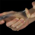 Przedłużka TPE Lovetoy przezroczysta 15,5 cm Lovetoy