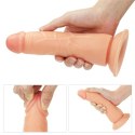 Zestaw strap on Lovetoy TPE 19 cm Lovetoy