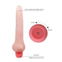 Wibrator penis realistyczny kręgosłup zginany 19cm BAILE