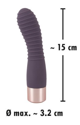 Elegant Vibrator Flexy Vibe You2Toys