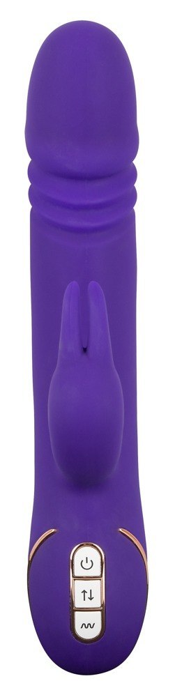 Rabbit Skater Purple Vibe Couture Rabbit Skater Purple Vibe Couture