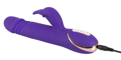 Rabbit Skater Purple Vibe Couture Rabbit Skater Purple Vibe Couture