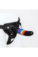 STRAP ON COLOURFUL LOVE SOLID DILDO Dream Toys