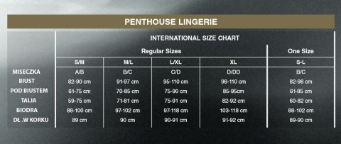 Prześwitująca mini sukienka siateczka erotyczna XL Penthouse Prześwitująca mini sukienka siateczka erotyczna XL Penthouse