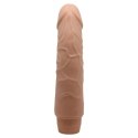 Naturalny członek penis realistyczny wibrator 19cm BAILE