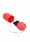 10 Speed Remote Vibrating Egg - Big - Pink ShotsToys