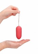 10 Speed Remote Vibrating Egg - Big - Pink ShotsToys