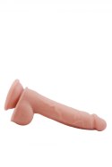 MR. DIXX 7.6INCH DUAL DENSITY DILDO Dream Toys