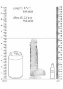 6" / 15 cm Realistic Dildo With Balls - Transparent RealRock