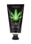 CBD - Bath and Shower - Luxe Travel set - Green Tea Hemp Oil Pharmquests