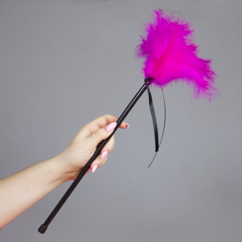 Plumero Plumas Fucsia Secret Play Plumero Plumas Fucsia Secret Play