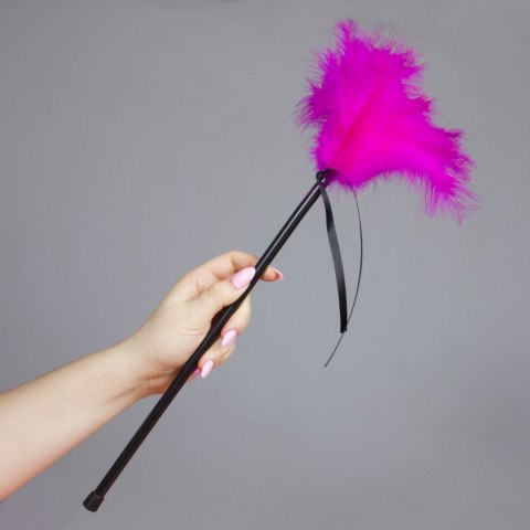 Plumero Plumas Fucsia Secret Play Plumero Plumas Fucsia Secret Play