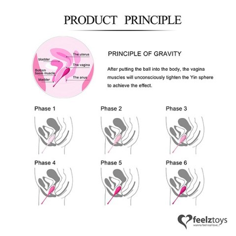 FeelzToys - FemmeFit Pelvic Muscle Training Set 6 pcs FeelzToys FeelzToys - FemmeFit Pelvic Muscle Training Set 6 pcs FeelzToys