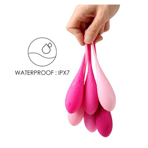 FeelzToys - FemmeFit Pelvic Muscle Training Set 6 pcs FeelzToys FeelzToys - FemmeFit Pelvic Muscle Training Set 6 pcs FeelzToys