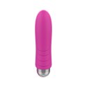 Exclusive Bullet USB 10 functions Pink Boss Series Vision