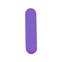 Power Bullet USB 10 functions Glossy Matte Purple Boss Series Vision