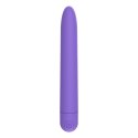 Ultra Power Bullet USB 10 functions Matte Purple Boss Series Vision