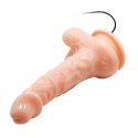 BAILE- REALISTIC MALE COCK AND TIGHT ASS, Vibration Suction base BAILE