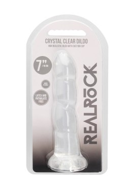 Non Realistic Dildo with Suction Cup - 7