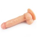 Giętki żyły penis gruby z przyssawką dildo 20 cm Lovetoy