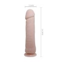 Duży naturalny penis dildo z przyssawką 26cm BAILE