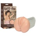 Masturbator-Carry Ann Masturbat. You2Toys