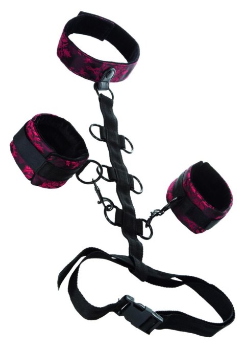 Wiązania-SCANDAL COLLAR BODY RESTRAINT CalExotics Wiązania-SCANDAL COLLAR BODY RESTRAINT CalExotics