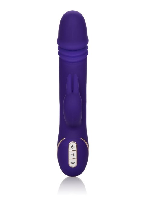 Wibrator-JACK RABBITSIGNATURE PURPLE CalExotics Wibrator-JACK RABBITSIGNATURE PURPLE CalExotics