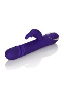 Wibrator-JACK RABBITSIGNATURE PURPLE CalExotics