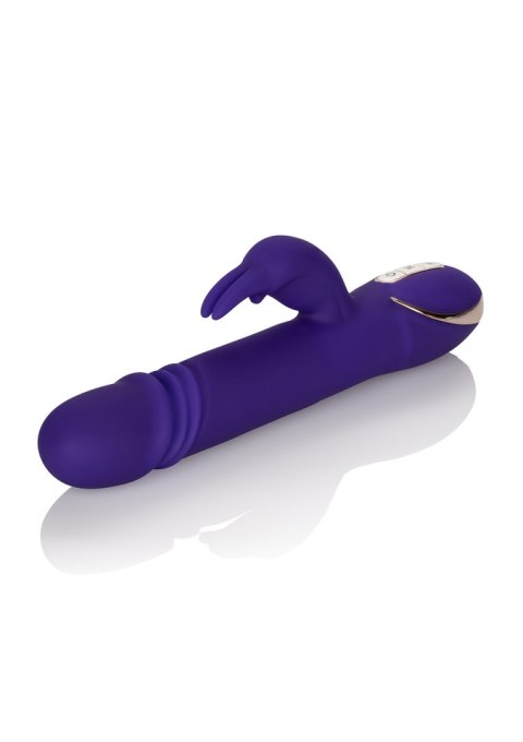 Wibrator-JACK RABBITSIGNATURE PURPLE CalExotics Wibrator-JACK RABBITSIGNATURE PURPLE CalExotics