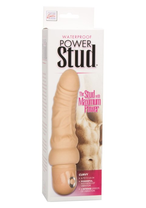 Wibrator-POWER STUD CURVY IVORY Wibrator-POWER STUD CURVY IVORY