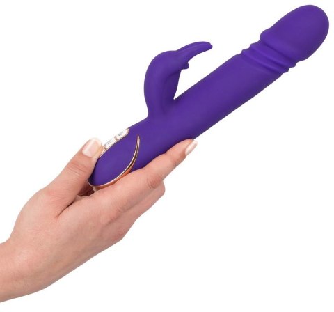 Rabbit Skater Purple Vibe Couture Rabbit Skater Purple Vibe Couture