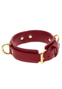 D-Ring Collar Deluxe Scala