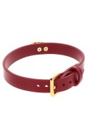 O-Ring Collar Scala