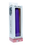 Ultra Power Bullet USB 10 functions Matte Purple Boss Series Vision