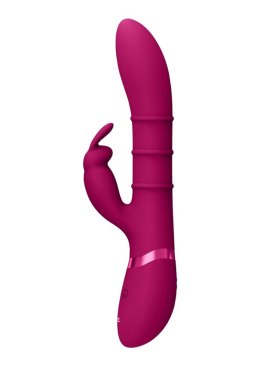 Stimulating Rings, Vibrating G-Spot Rabbit - Pink Vive