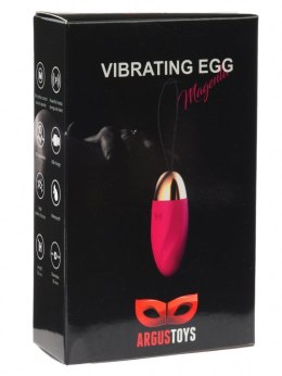 Vibrating eqq Magenta Argus