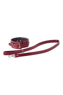 BLAZE ELITE COLLAR AND LEASH RED Dream Toys