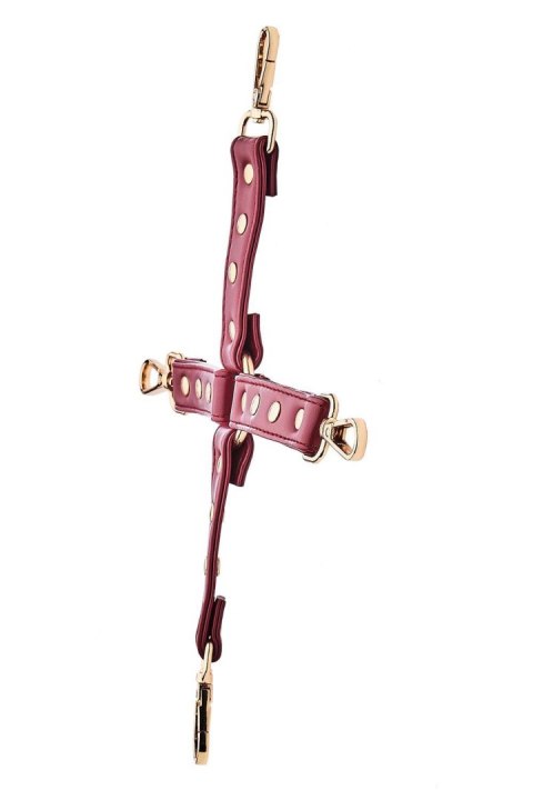 BLAZE ELITE HOGTIE RED Dream Toys BLAZE ELITE HOGTIE RED Dream Toys