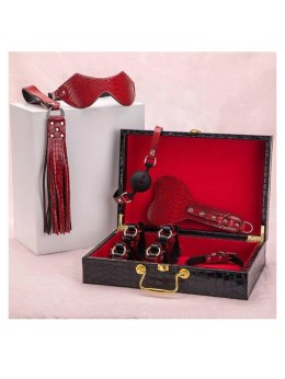 Suitcase bondage set red Argus