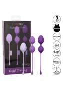 Kegel Training 3 Pcs Purple CalExotics