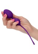 Kegel Training 3 Pcs Purple CalExotics